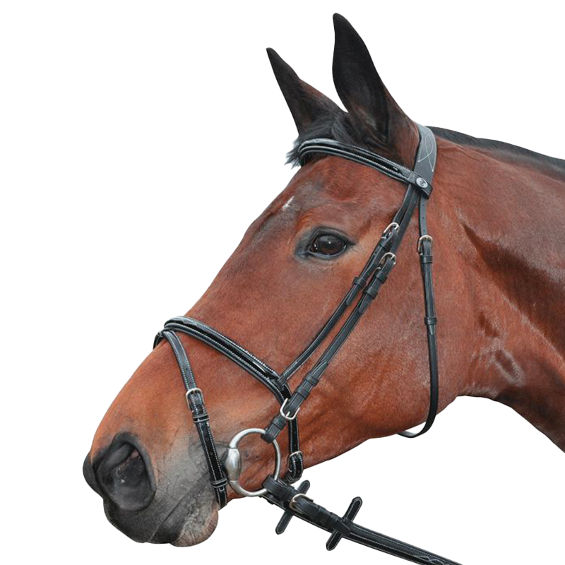 Privilege Equitation - Bridon Nice gecombineerd met zwarte teugels