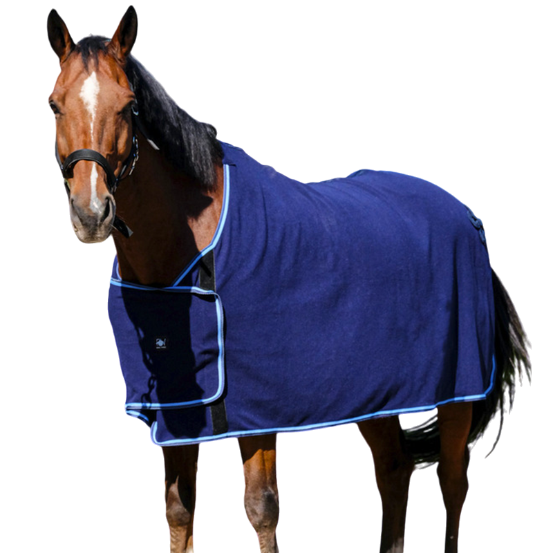 Riding World - Chemise de présentation marine | - Ohlala