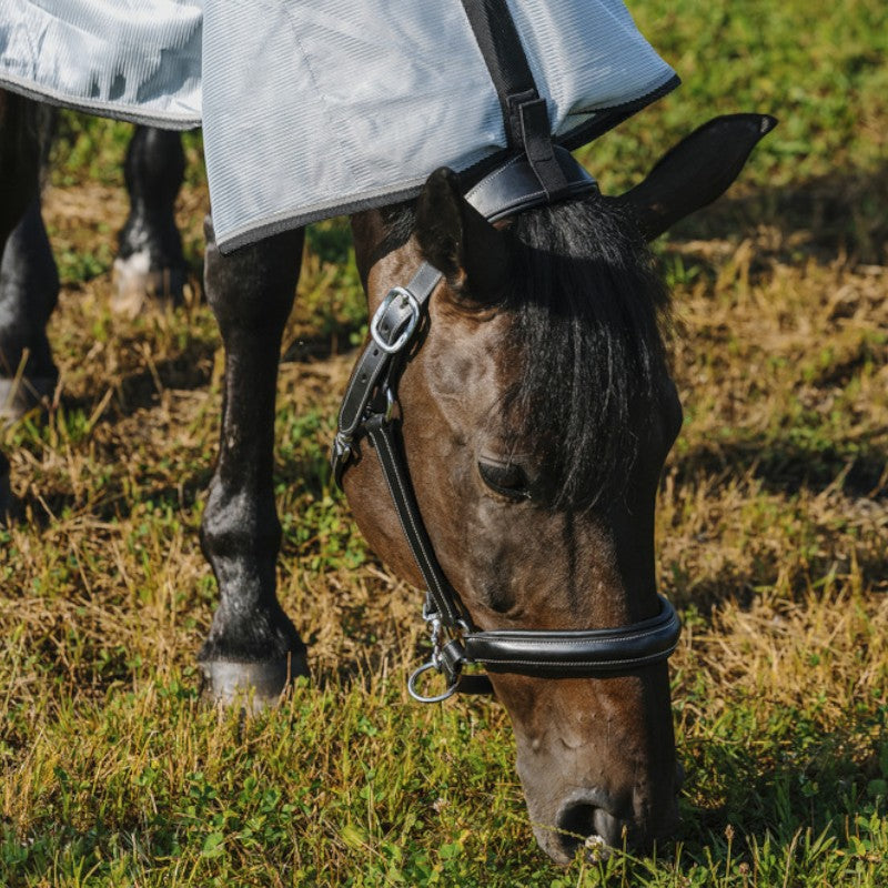 Riding World - Chemise anti-mouches mesh Combo Belly grise | - Ohlala