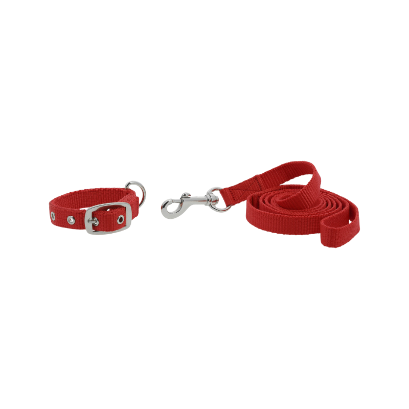 Riding World - Collier et laisse pour chien Oscar rouge | - Ohlala