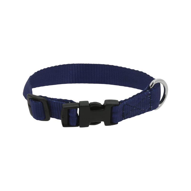 Riding World - Collier pour chien Pat marine | - Ohlala