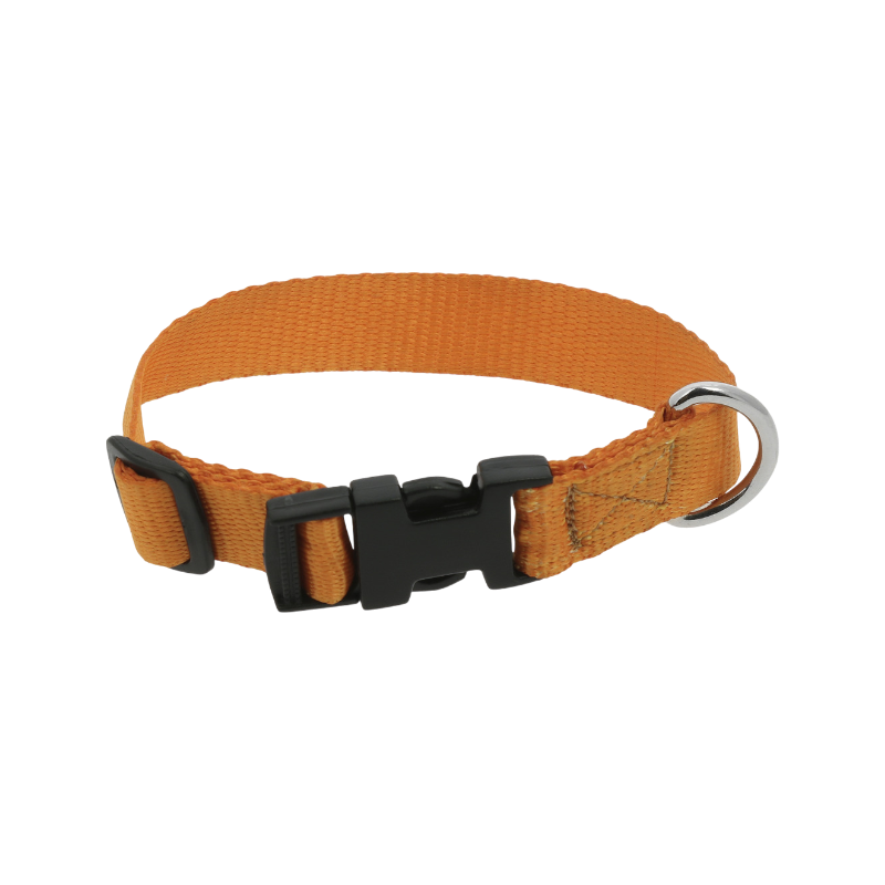 Riding World - Collier pour chien Pat orange | - Ohlala