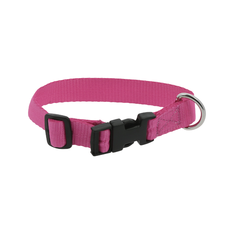 Riding World - Collier pour chien Pat rose | - Ohlala