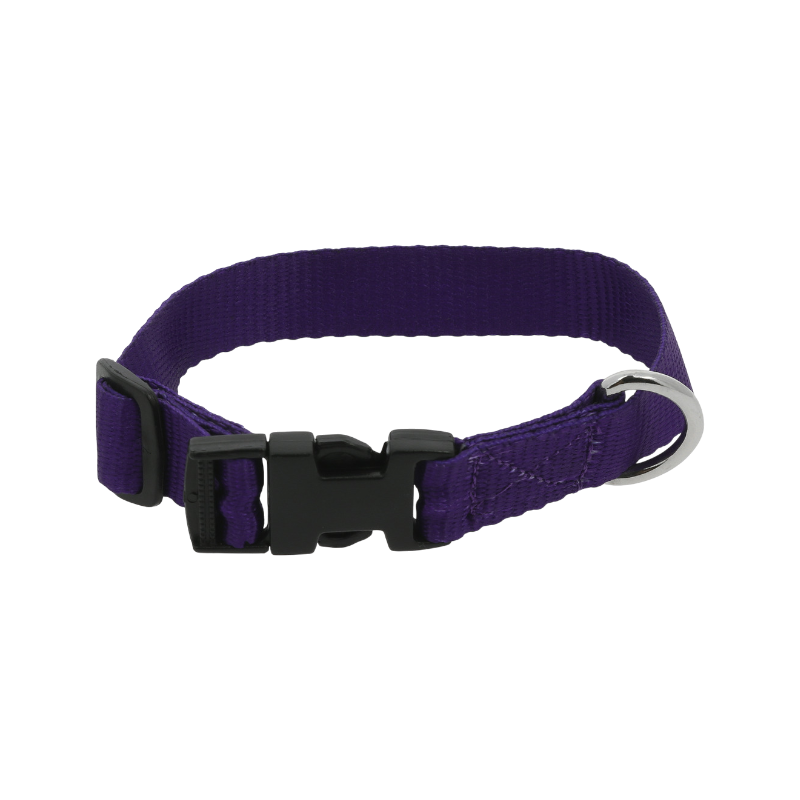 Riding World - Collier pour chien Pat violet | - Ohlala
