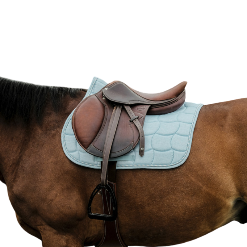 Riding World - Tapis de selle Sunshine bleu ciel | - Ohlala