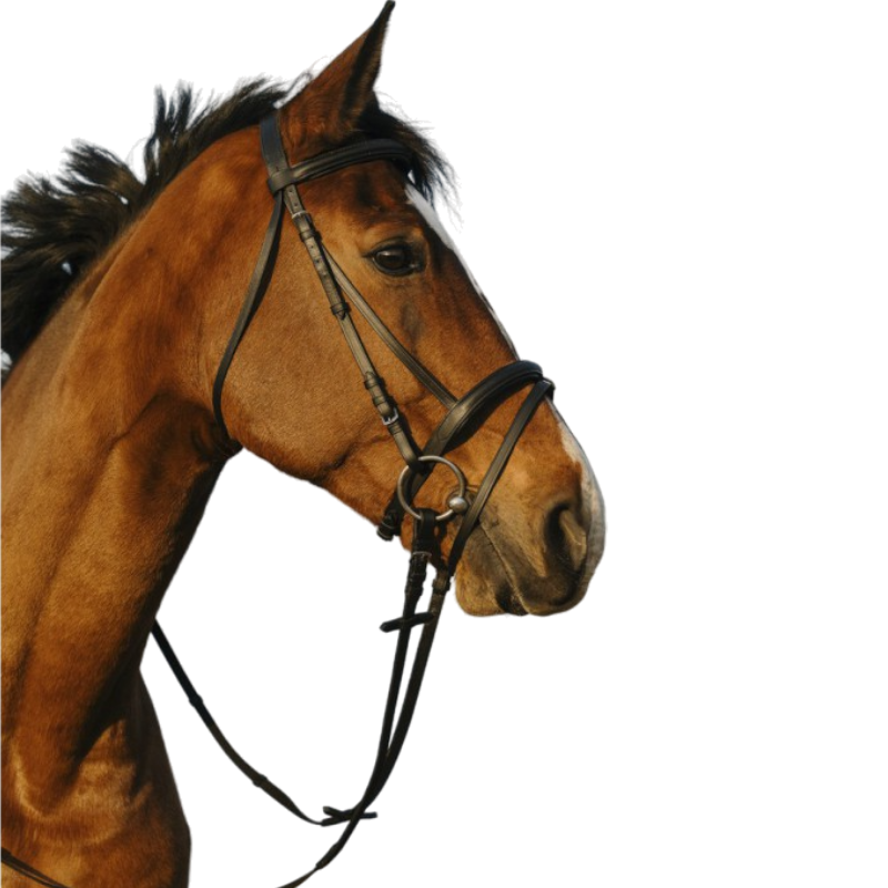 Riding World - Bridon muserolle combinée double noir | - Ohlala