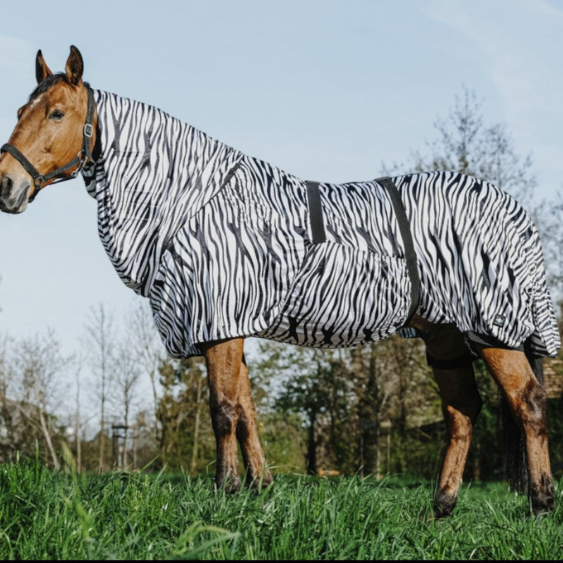 Riding World - Chemise anti-eczéma zèbre | - Ohlala