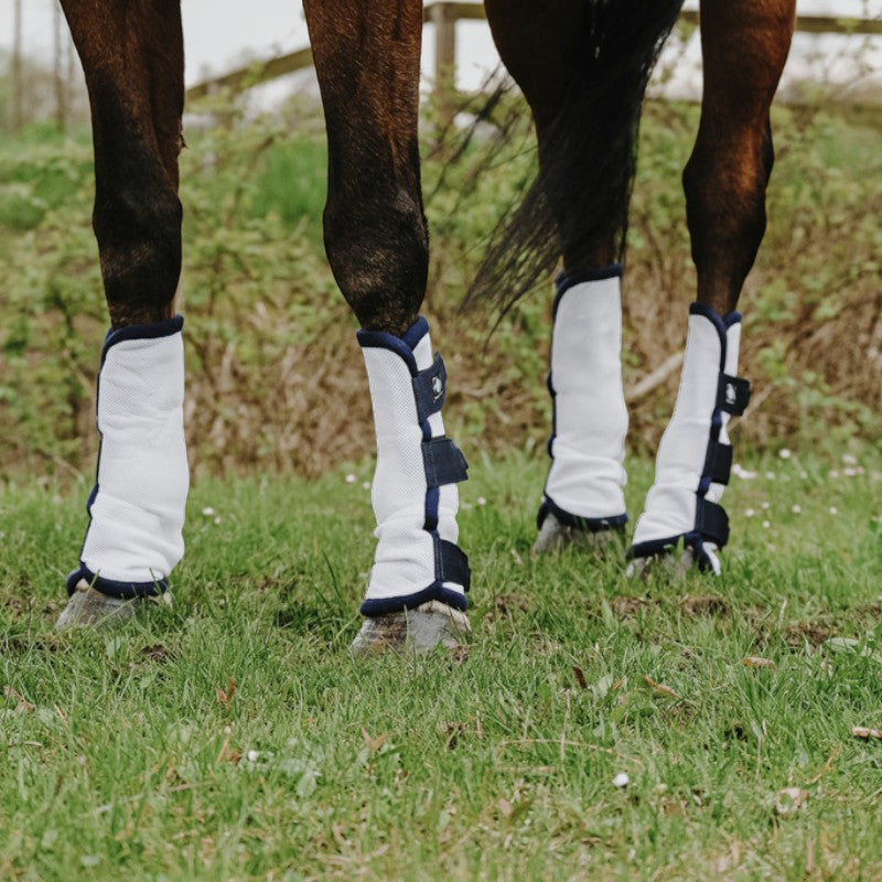 Riding World - Guêtres anti-mouches x4 blanc | - Ohlala