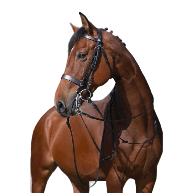 Riding World - Bride de dressage noire avec rênes | - Ohlala