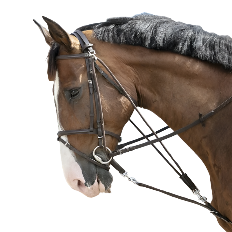 Riding World - Gogue à poulies | - Ohlala