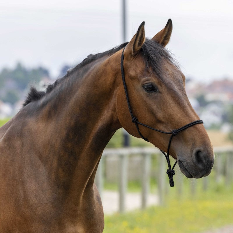 Riding World - Licol éthologique corde fin noir | - Ohlala