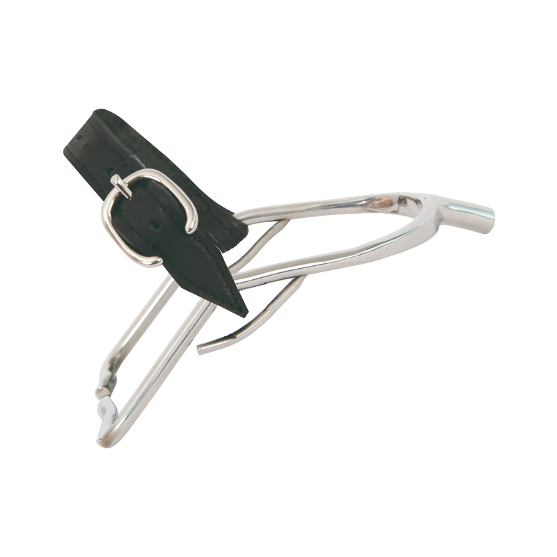 TdeT - Éperons Prince de galles inox junior | - Ohlala