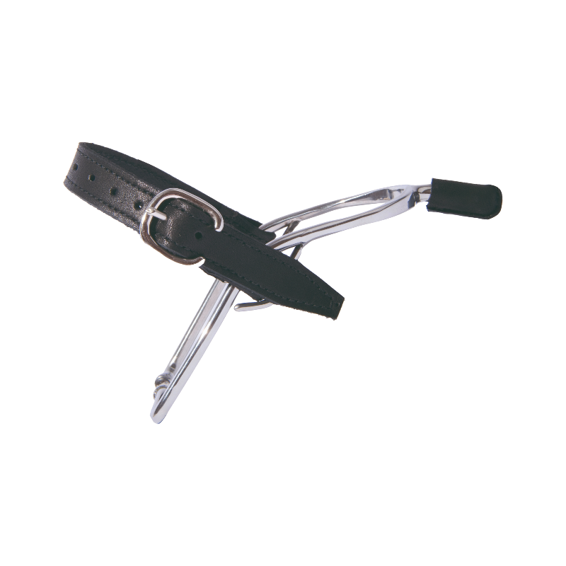 TdeT - Éperons en inox avec embout en cuir junior | - Ohlala