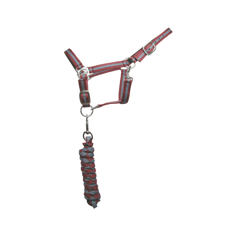 TdeT - Licol doublé avec longe Américaine bordeaux/ gris | - Ohlala