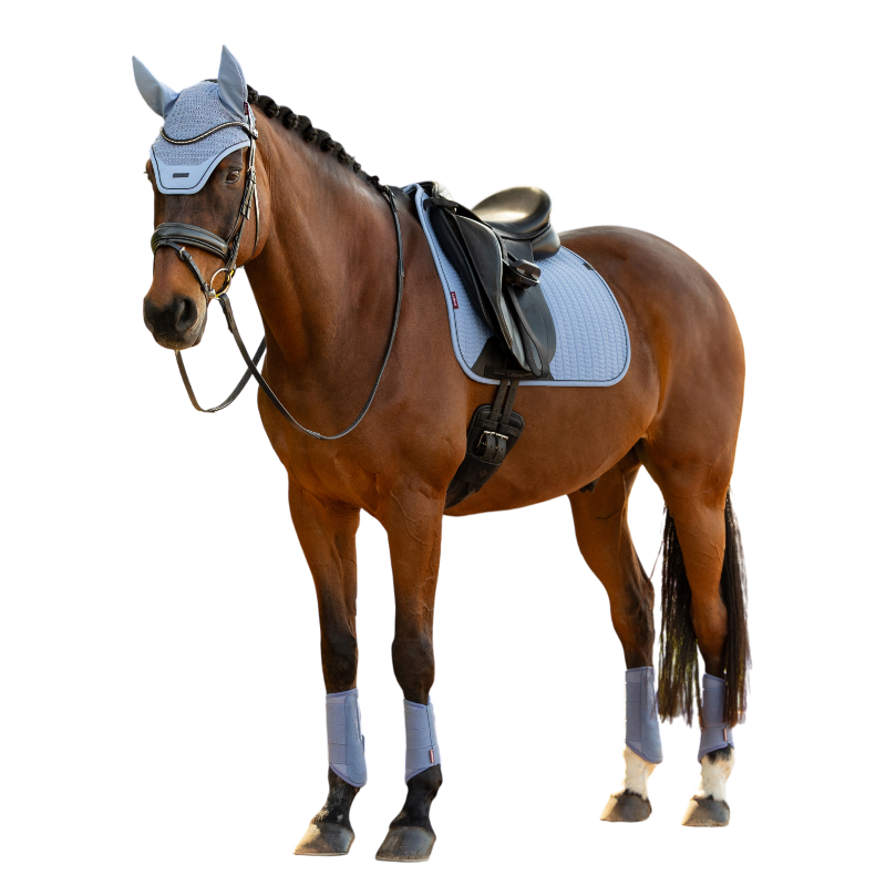 LeMieux - Tapis de dressage Essence powder blue | - Ohlala