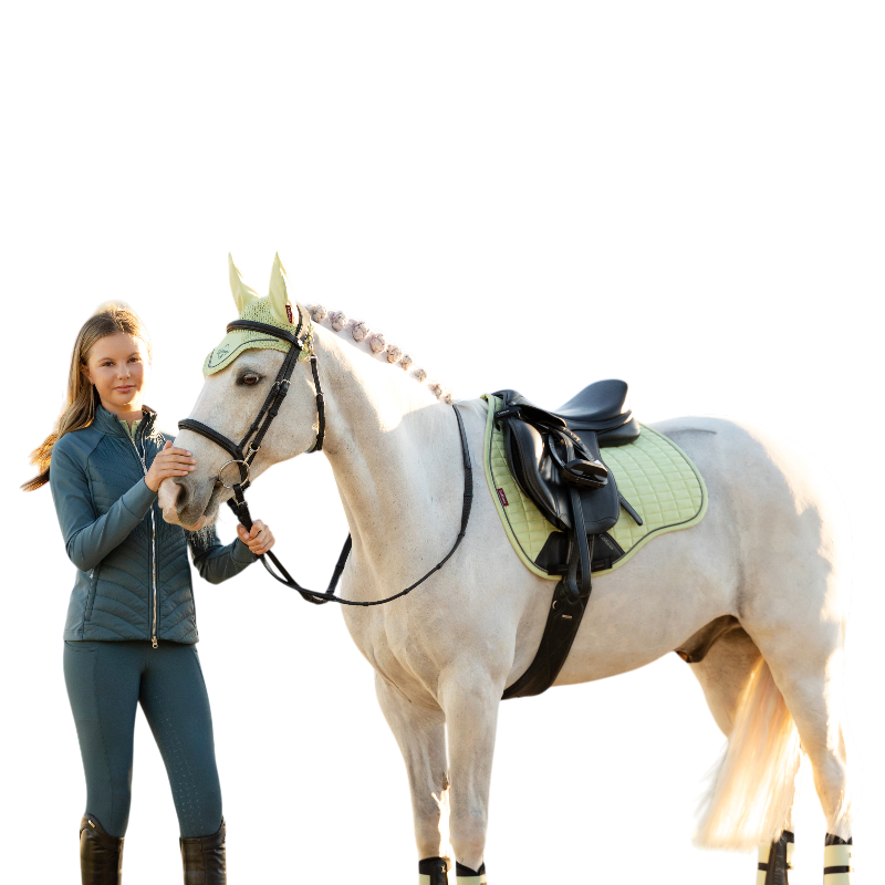 LeMieux - Tapis de selle Suede GP macaron | - Ohlala