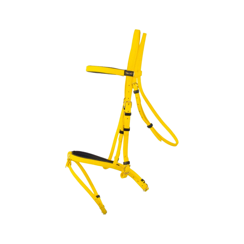 TdeT - Bridon Biotack® jaune | - Ohlala