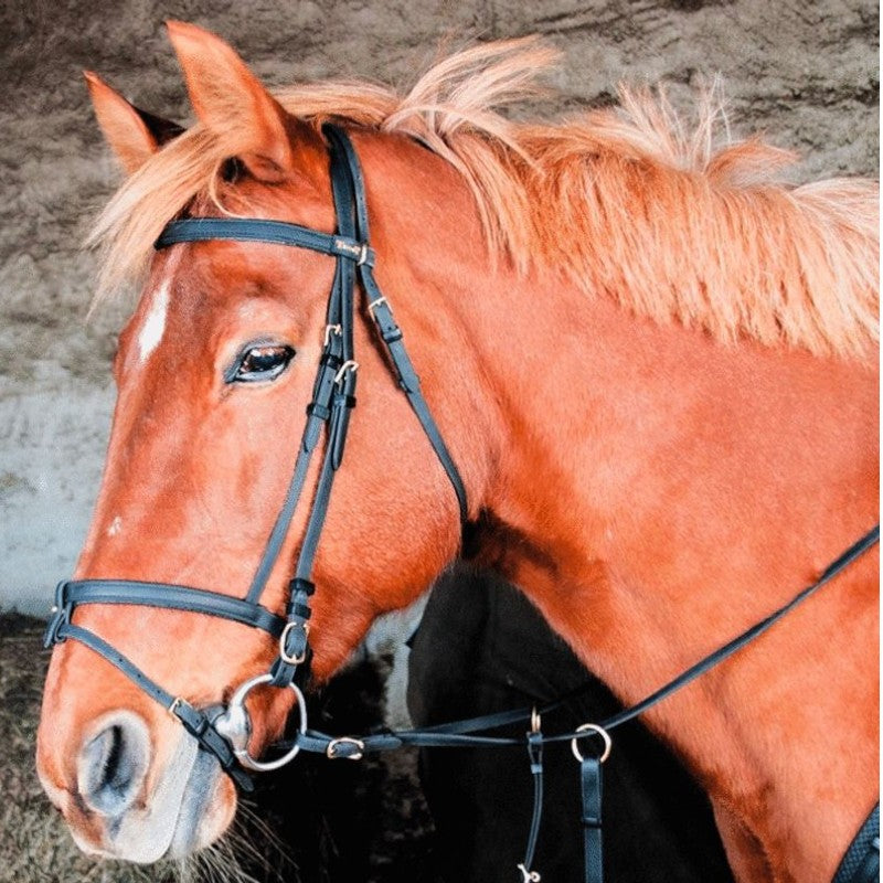 TdeT - Bridon Biotack® noir | - Ohlala