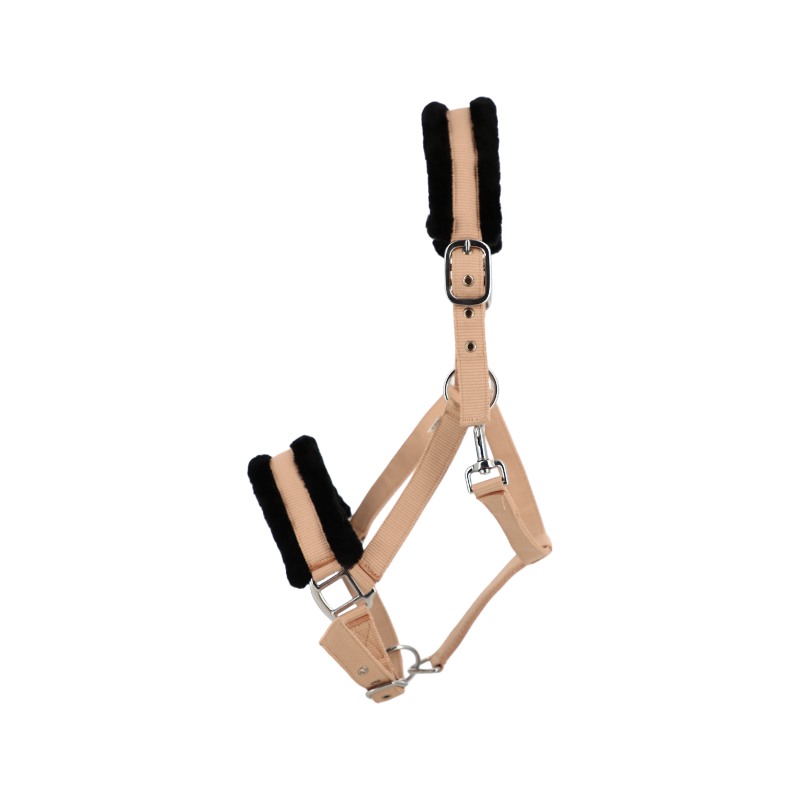 TdeT - Licol en nylon et mouton pêche/ noir | - Ohlala