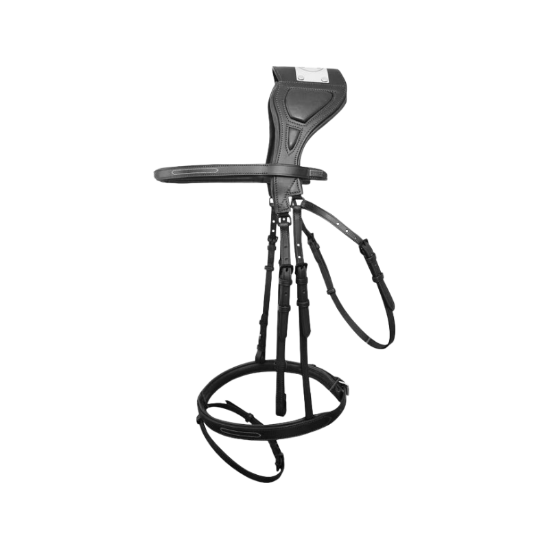 TdeT - Bridon Chagall noir | - Ohlala