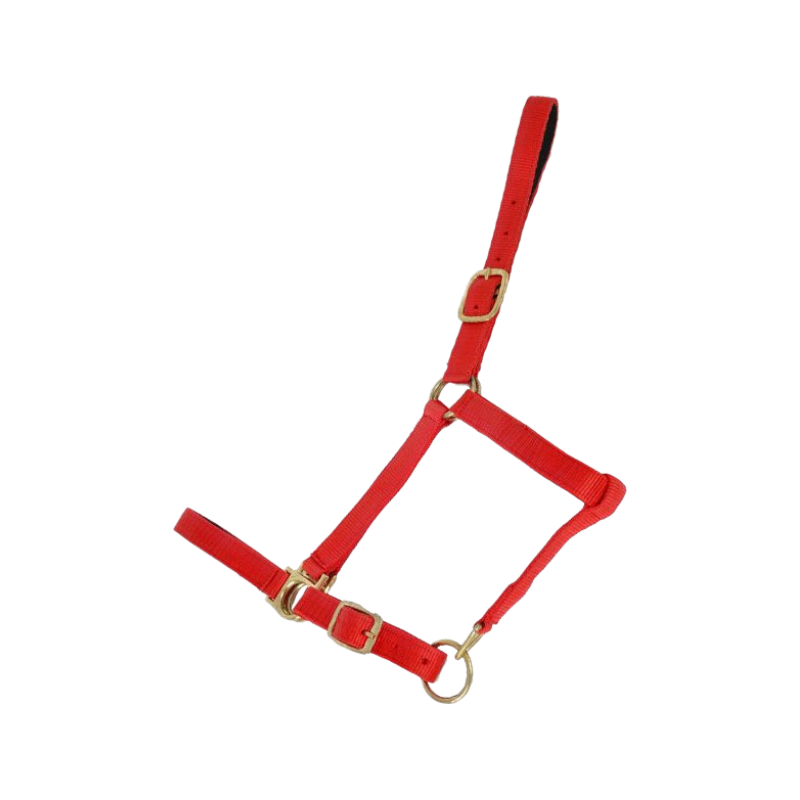 TdeT - Licol synthétique doublé suédine rouge | - Ohlala