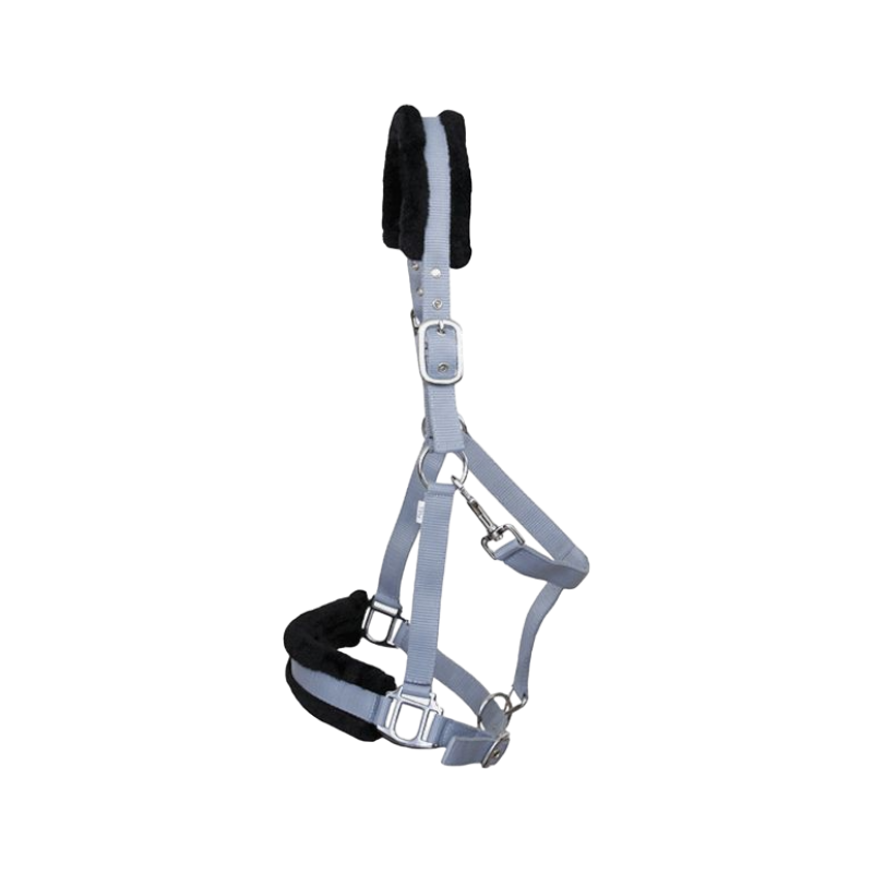 TdeT - Licol nylon et mouton gris | - Ohlala