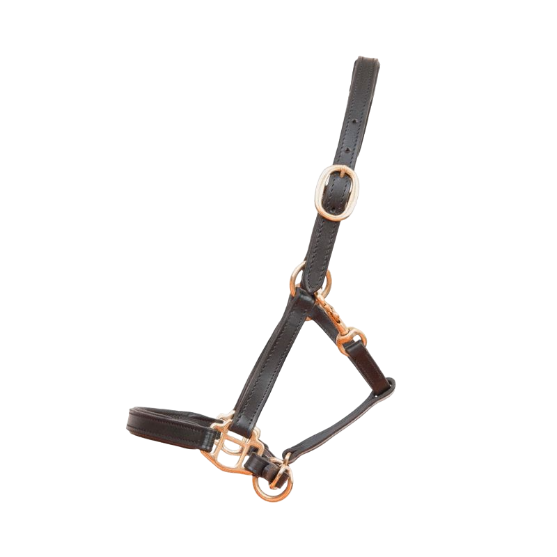 TdeT - Licol foal en cuir noir | - Ohlala