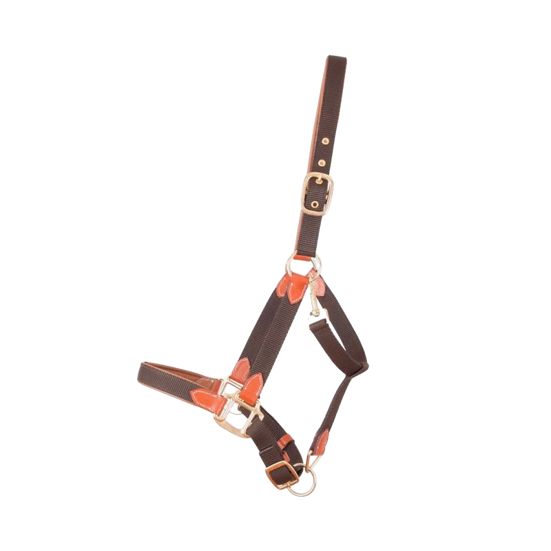 TdeT - Licol en cuir et sangle marron | - Ohlala