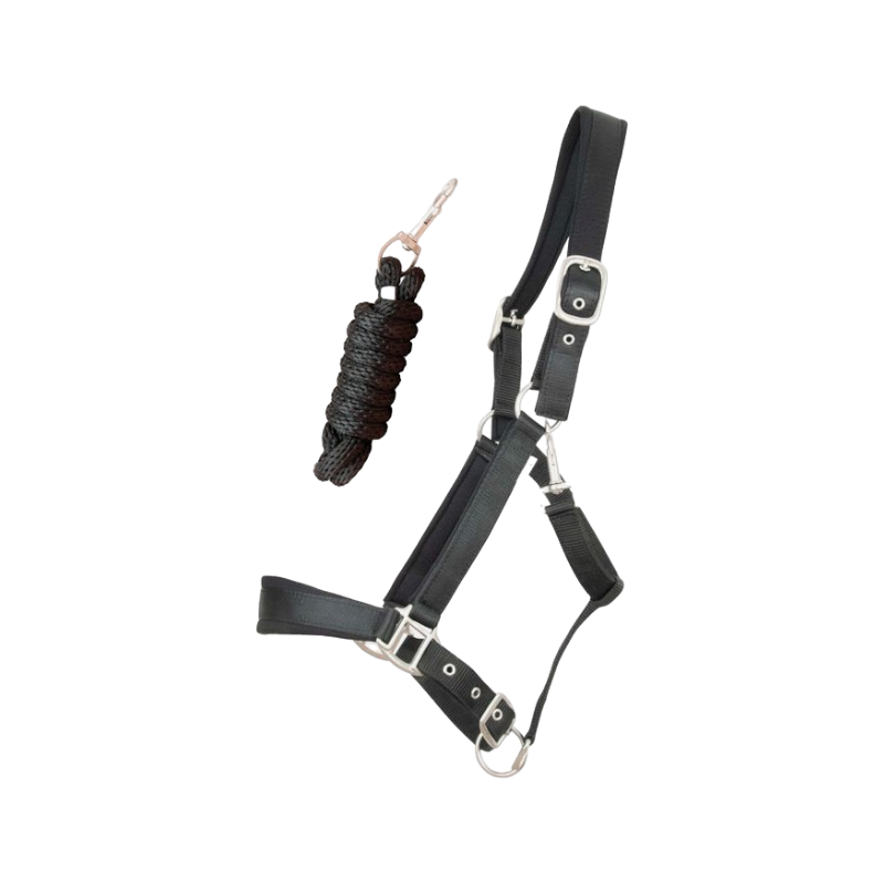 TdeT - Licol Satiné Doublé longe ronde assortie noir | - Ohlala