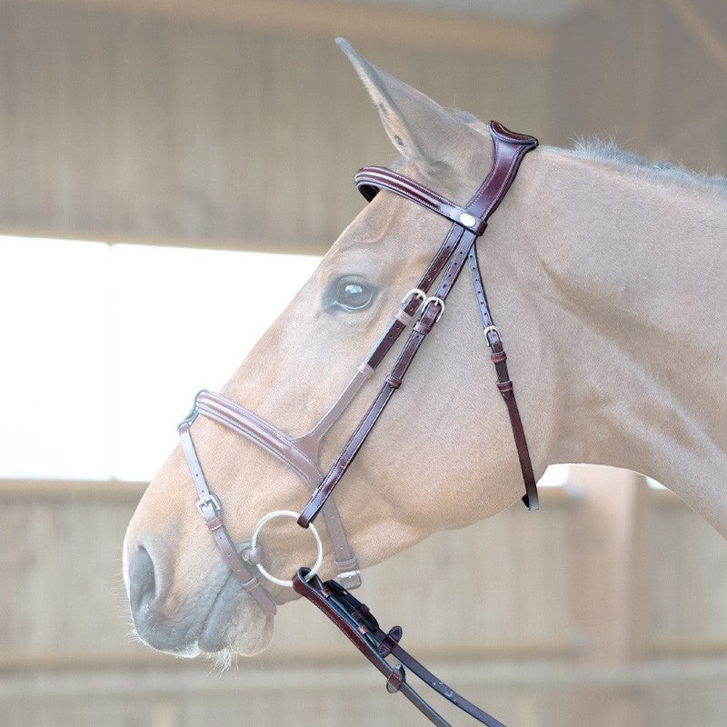 Jump'In - Têtière + rênes Evolution noisette