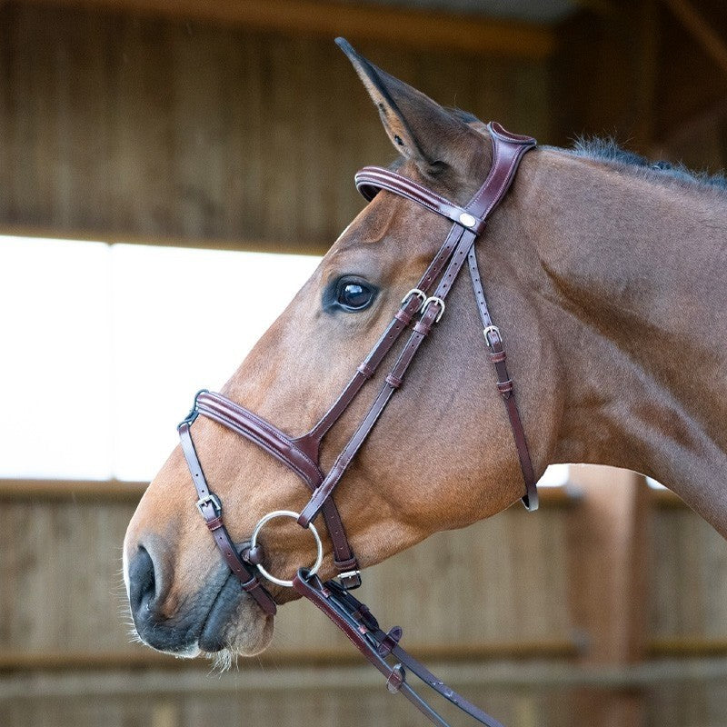 Jump'In - Têtière + rênes Evolution noisette