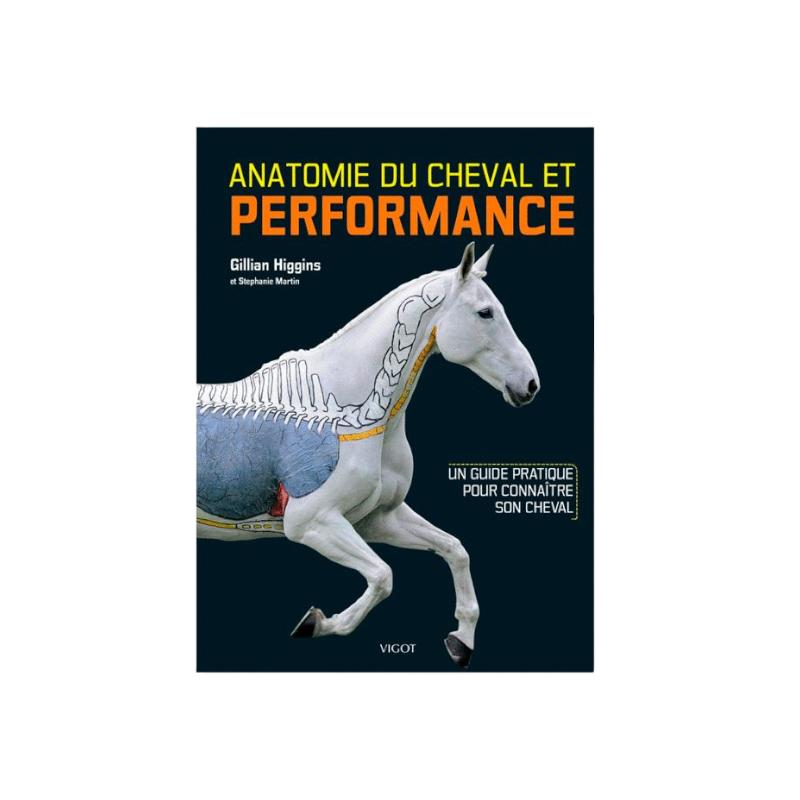 Vigot - Anatomie du cheval&Performance | - Ohlala