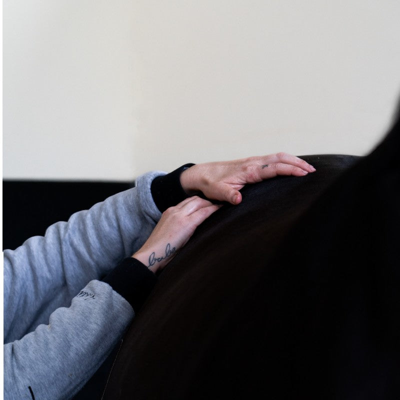 Alodis Care - Gel anti-inflammatoire Anti Choc après coup | - Ohlala