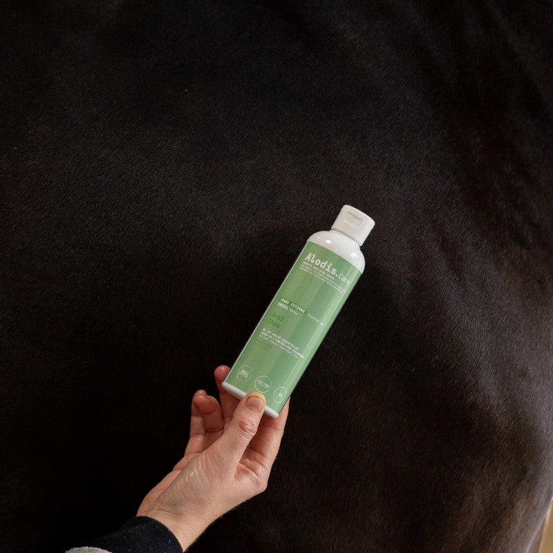 Alodis Care - Gel anti-inflammatoire Anti Choc après coup | - Ohlala