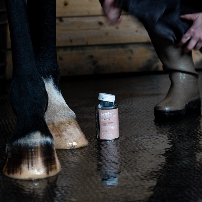 Alodis Care - Fourchette Clean | - Ohlala