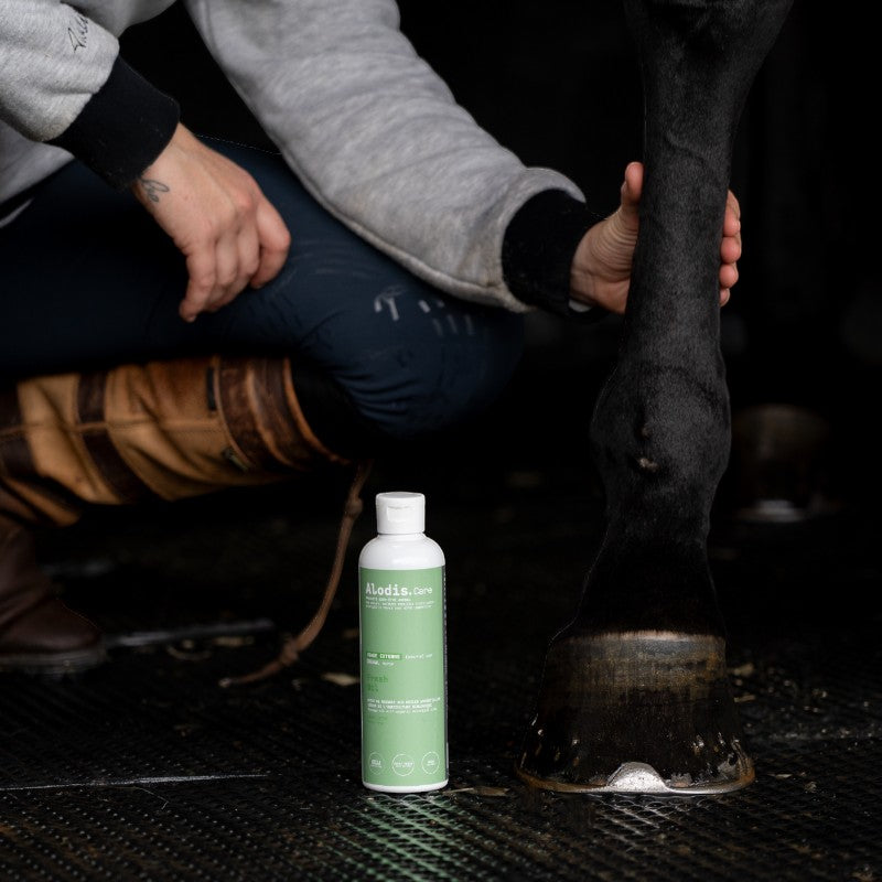 Alodis Care - Huile de massage rafraîchissante Fresh Oil | - Ohlala