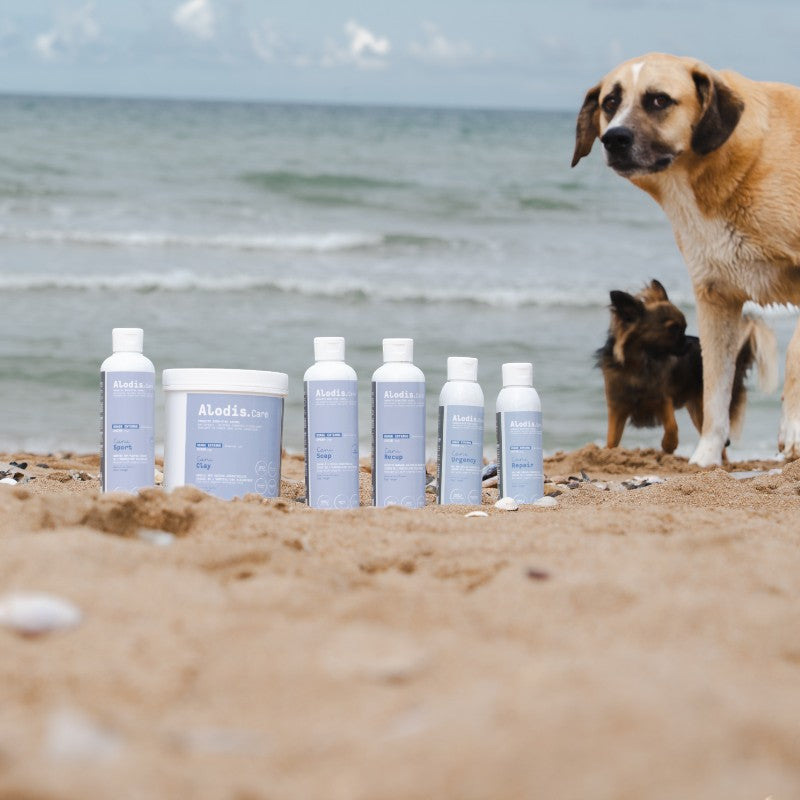 Alodis care - Argile pour chiens Cani Clay | - Ohlala
