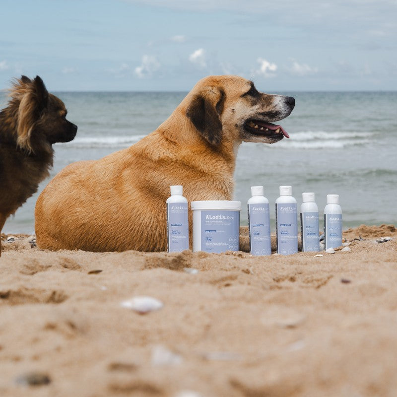 Alodis care - Argile pour chiens Cani Clay | - Ohlala