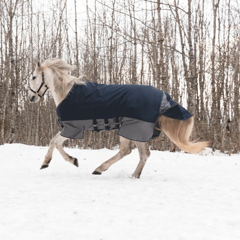Equithème - Couverture d'extérieur Tyrex "Belly Belt" 600D 300g marine/gris | - Ohlala