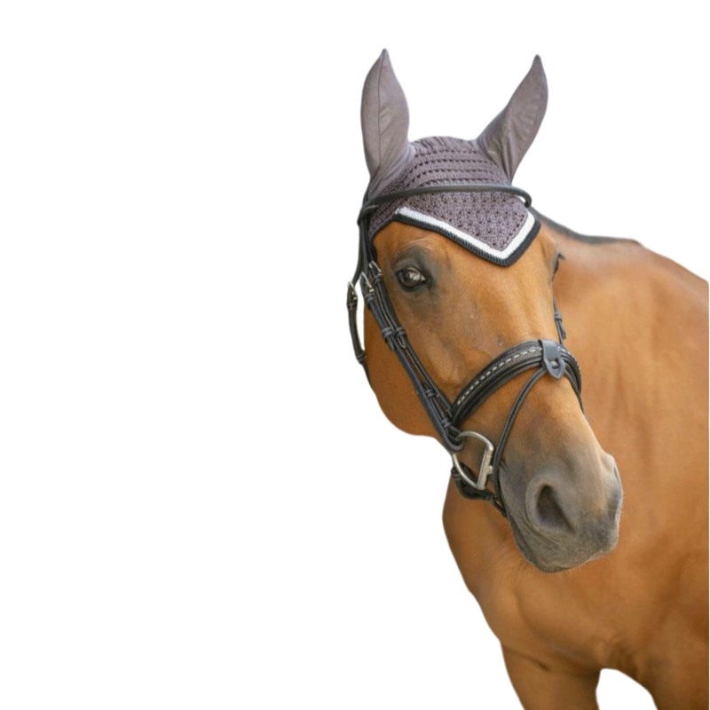 Paddock Sports - Bonnet Origine gris foncé | - Ohlala