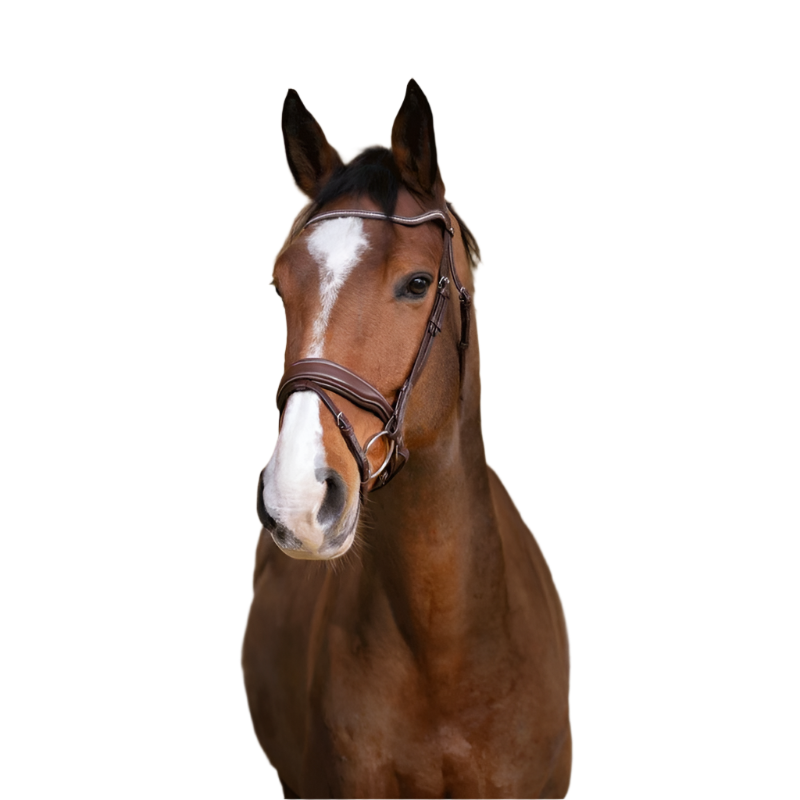 Norton Pro - Bridon Miss havane | - Ohlala