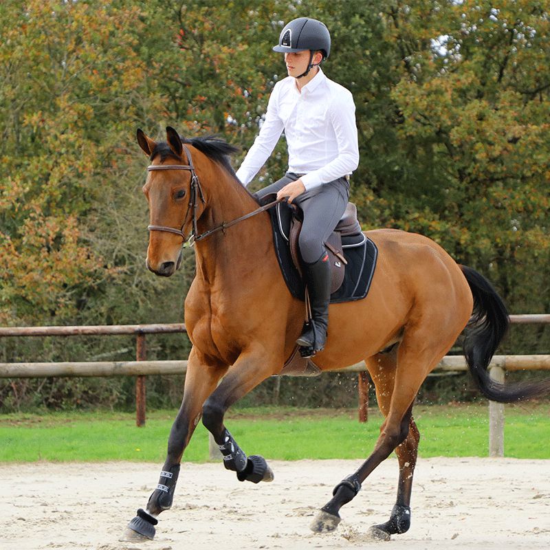 Jump'In - Pantalon d'équitation homme Super X Gris | - Ohlala