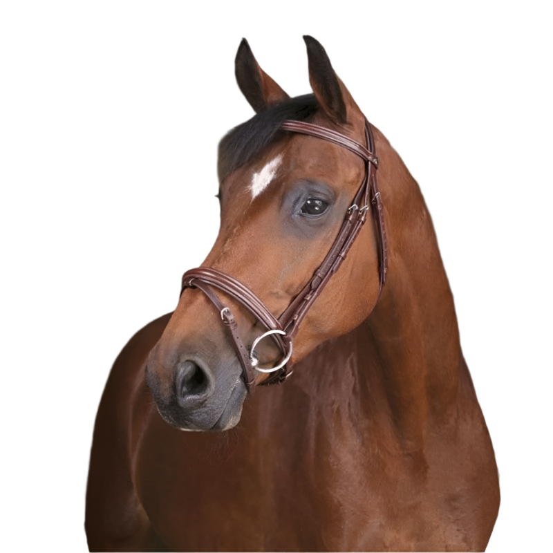 Norton Pro - Bridon fin havane | - Ohlala