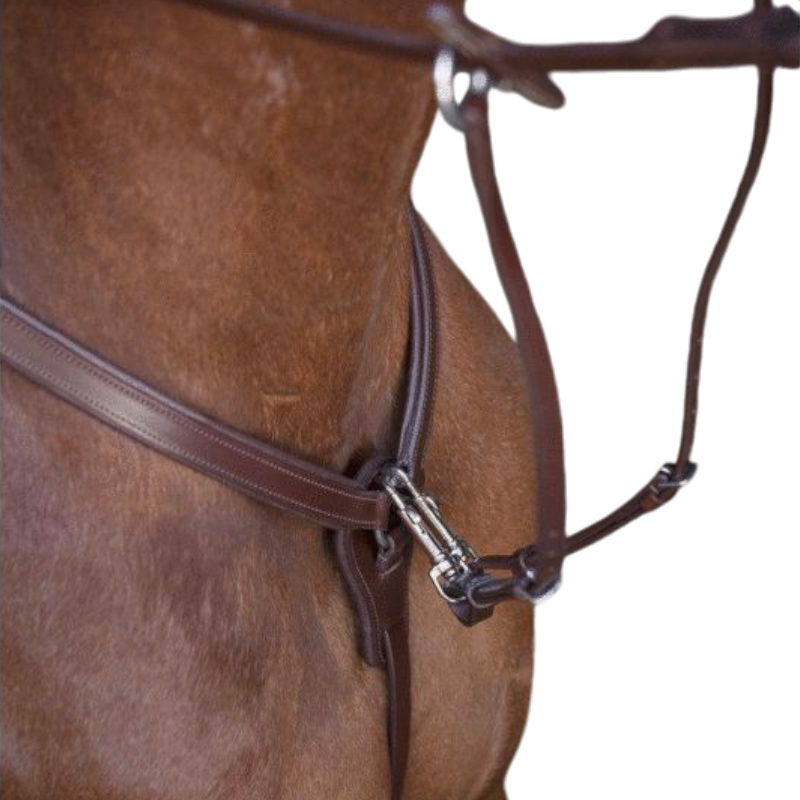 Norton Pro - Collier de chasse havane | - Ohlala