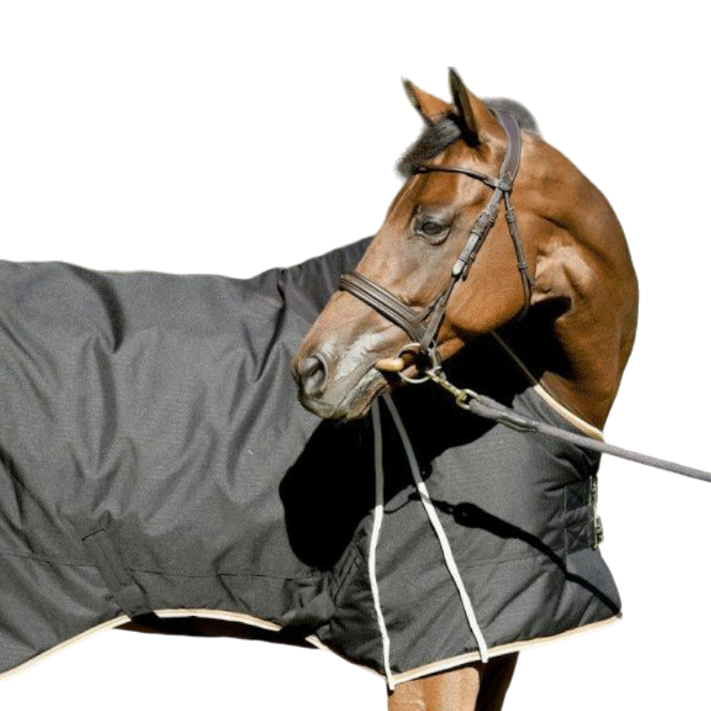 Pénélope - Chemise de box noir/crème 400g | - Ohlala