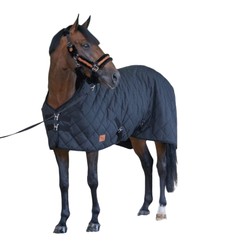 Paddock Sports - Couverture de box matelassée noir 50 g | - Ohlala