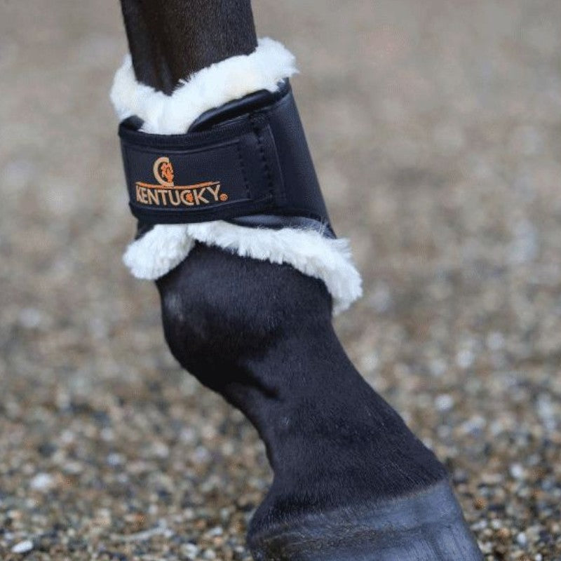 Kentucky Horsewear - Protège-boulets turnout cuir noir | - Ohlala