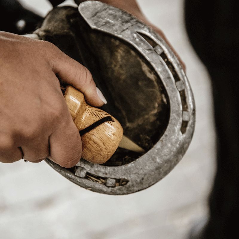 Grooming Deluxe - Petit cure-pied | - Ohlala