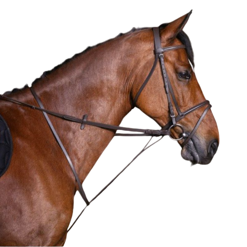 Riding World - Martingale à anneaux havane | - Ohlala