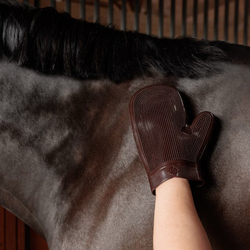 Grooming Deluxe - Gant de Grooming en caoutchouc brun | - Ohlala
